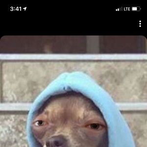 Meet your Posher, Jack